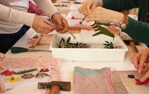 La Ciencia y el Arte de los Pétalos