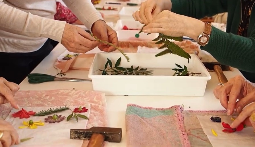 La Ciencia y el Arte de los Pétalos