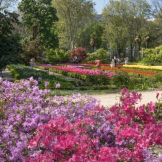 Visita guiada El Jardín en primavera