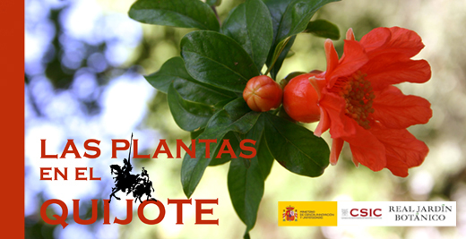 Las plantas en 'El Quijote'