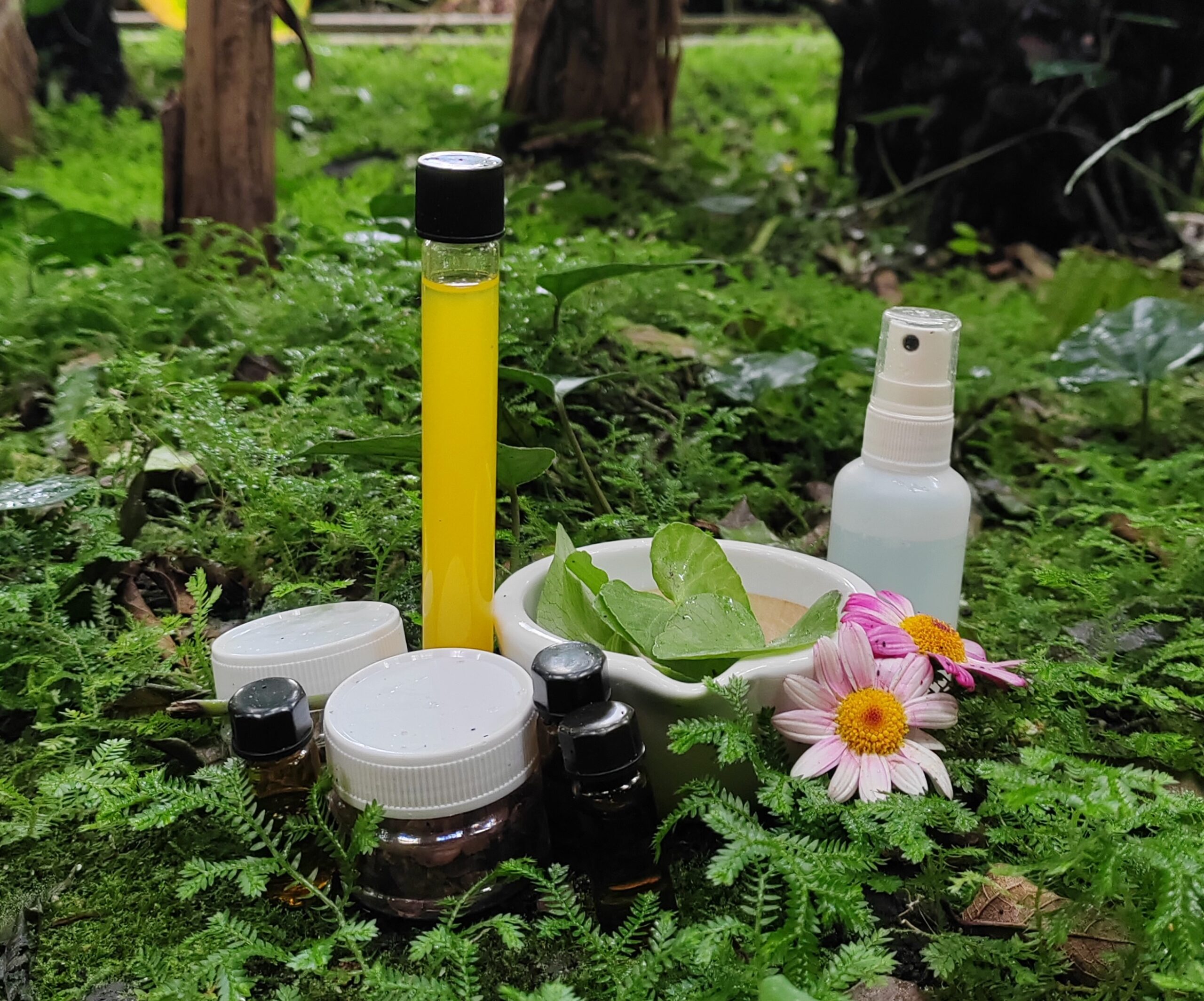Cosmética natural Cosmética natural
