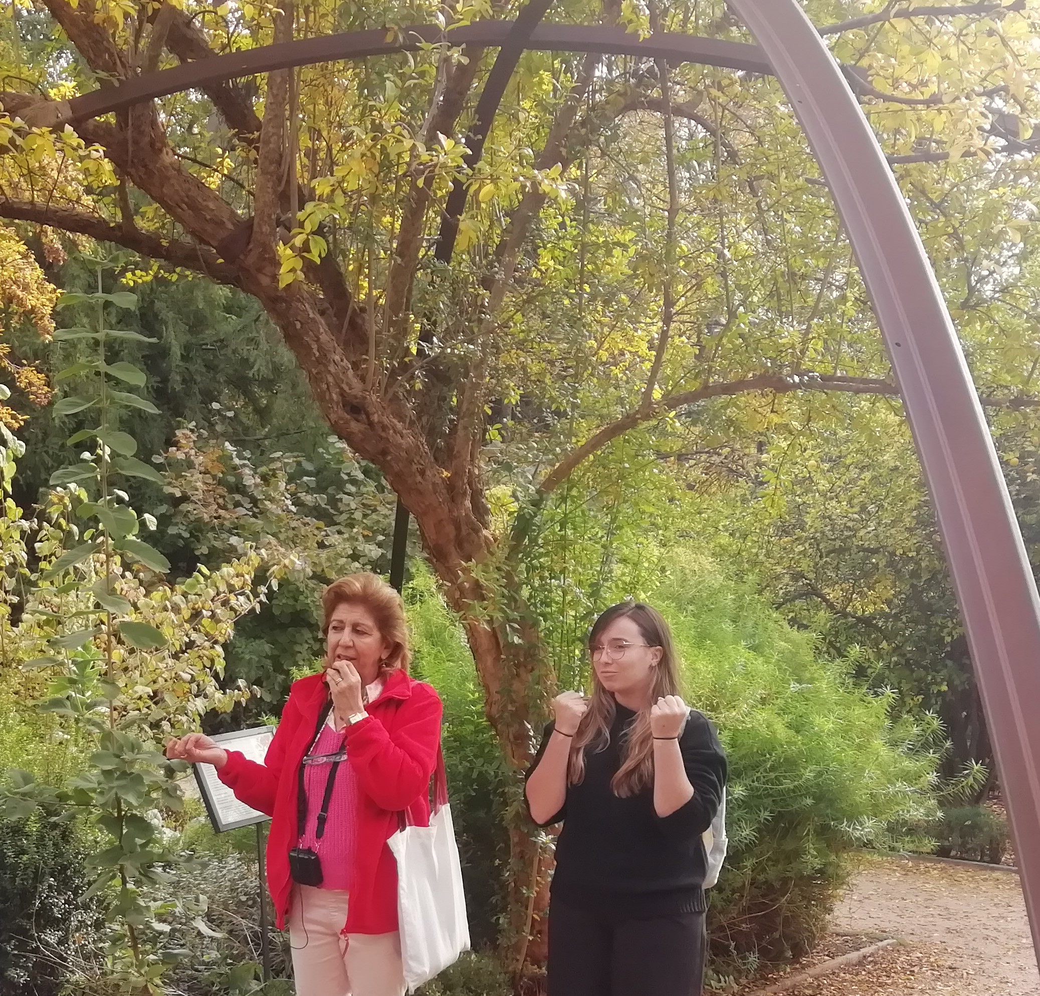 Visitas guiadas con intérprete en Lengua de Signos Española - Otoño Visitas guiadas con intérprete en Lengua de Signos Española - Otoño