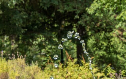 Visita guiada El Jardín en verano