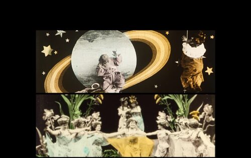 PequeZine - Flores: ciencia, arte y fantasía