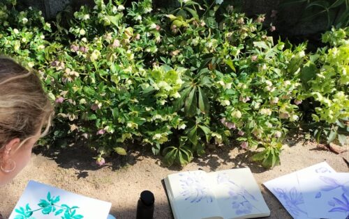 Pinta el botánico con acuarela