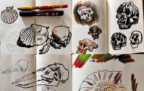 Curso de Observación a través del Dibujo - COAD