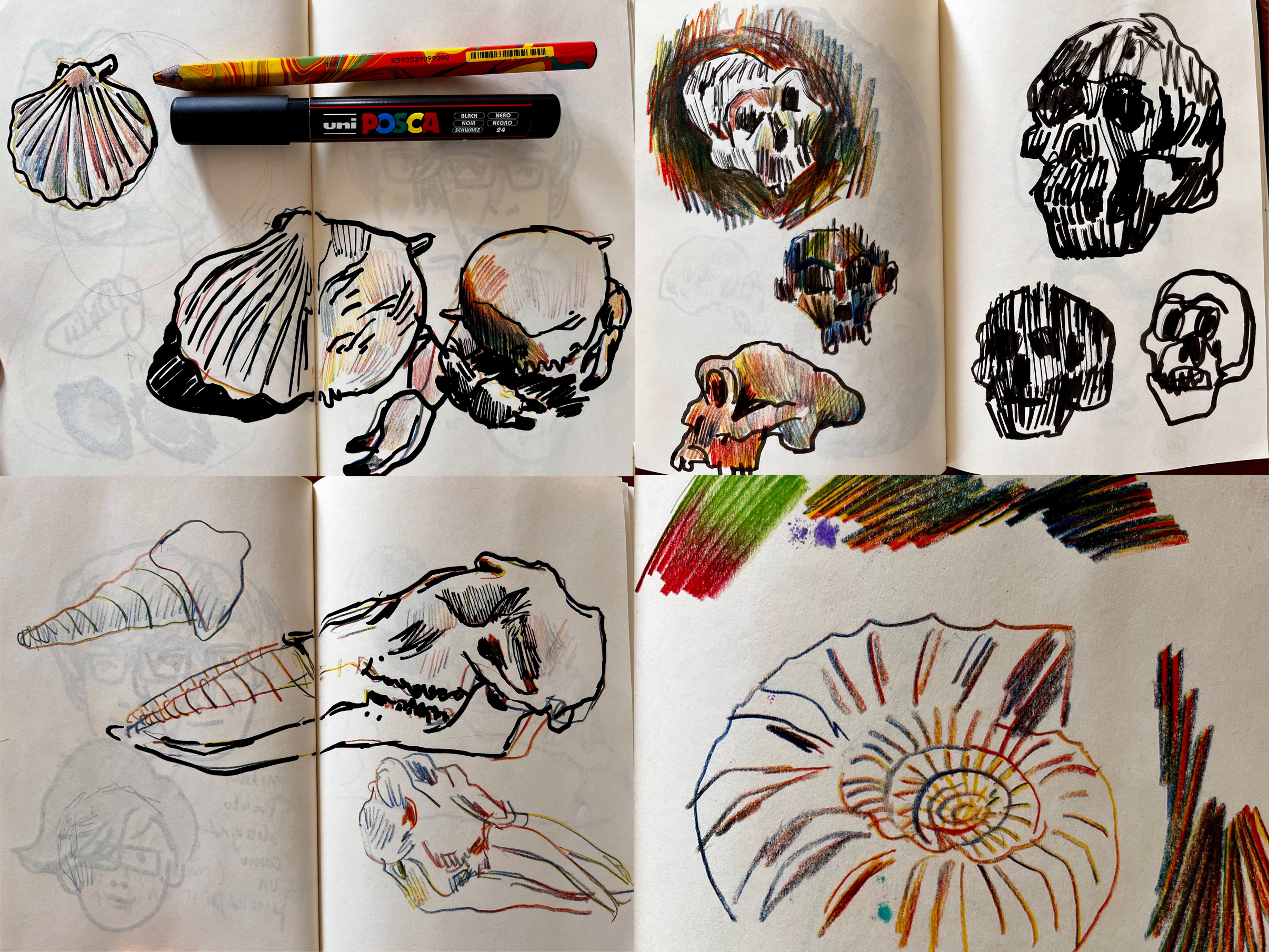Curso de Observación a través del Dibujo - COAD