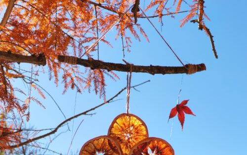 Adornos naturales navideños