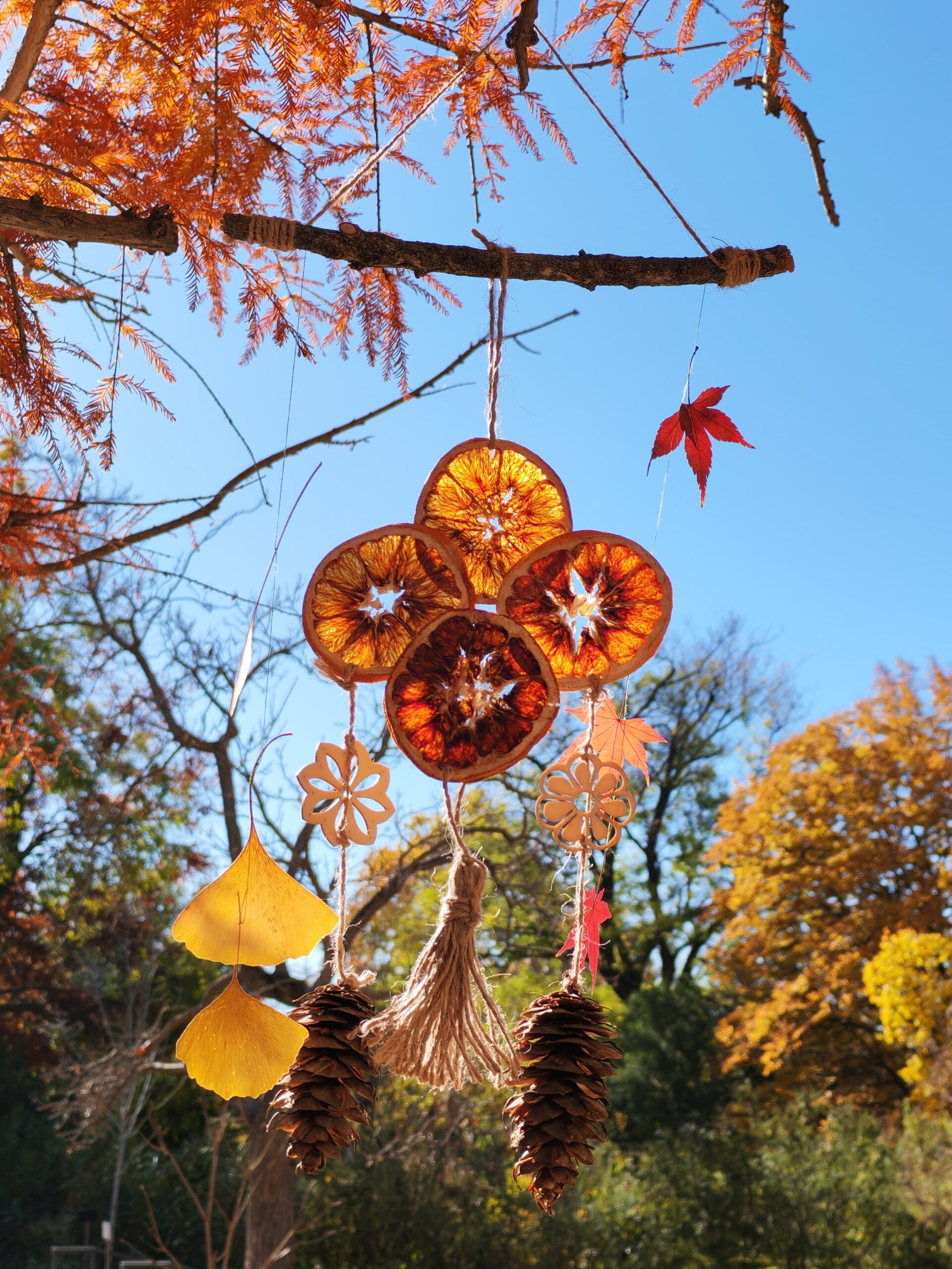 Adornos naturales navideños