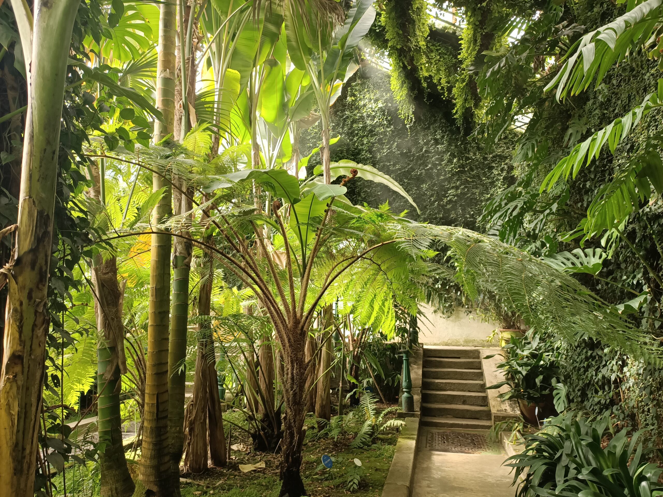 Visita guiada Los Invernaderos del Botánico