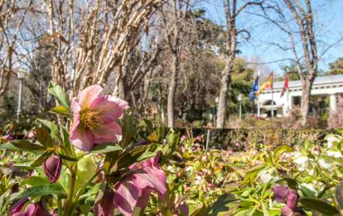Visita guiada El Jardín en invierno también enamora