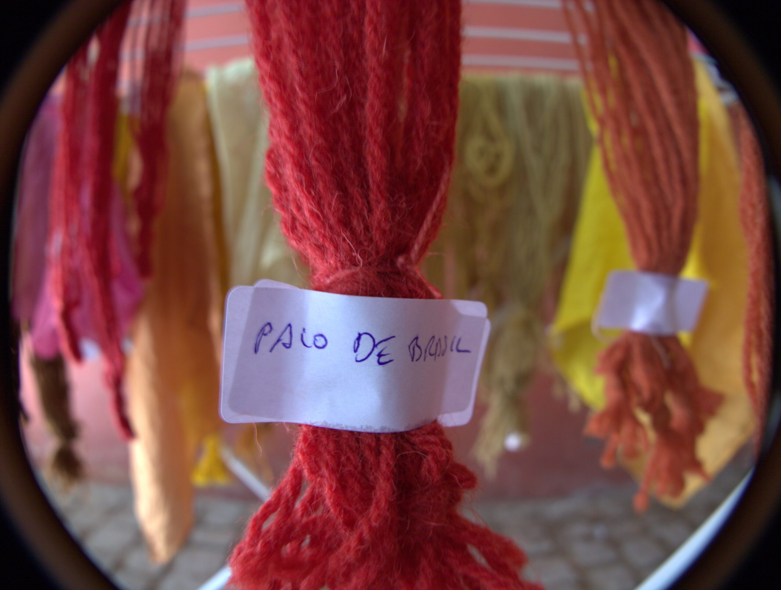 Iniciación al teñido de lana con colorantes naturales