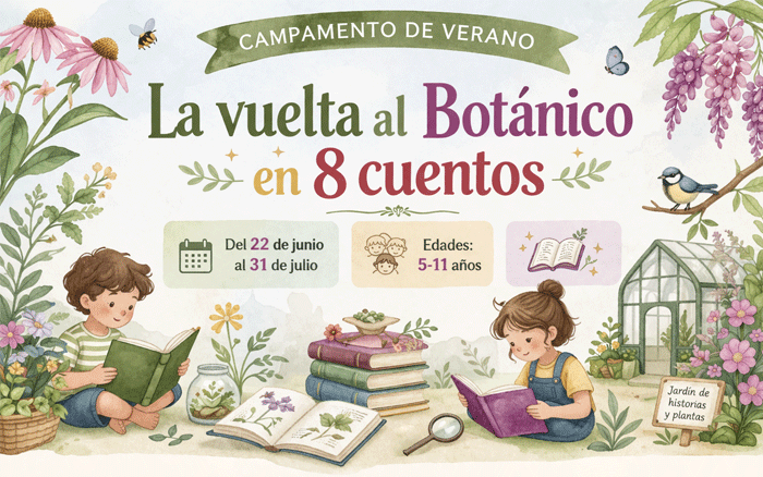 Campamento de Verano - 2026