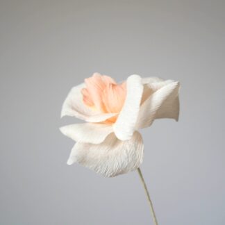 Rosas de papel, rosas del Jardín