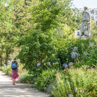 Visita guiada El Jardín en verano - junio 2026