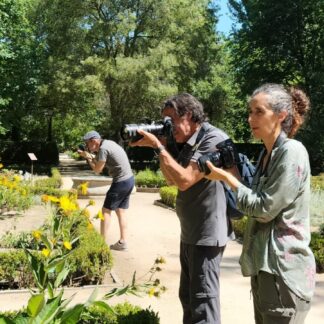 Introducción a la fotografía de naturaleza