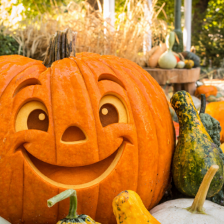 ¡Esa calabaza me está mirando!