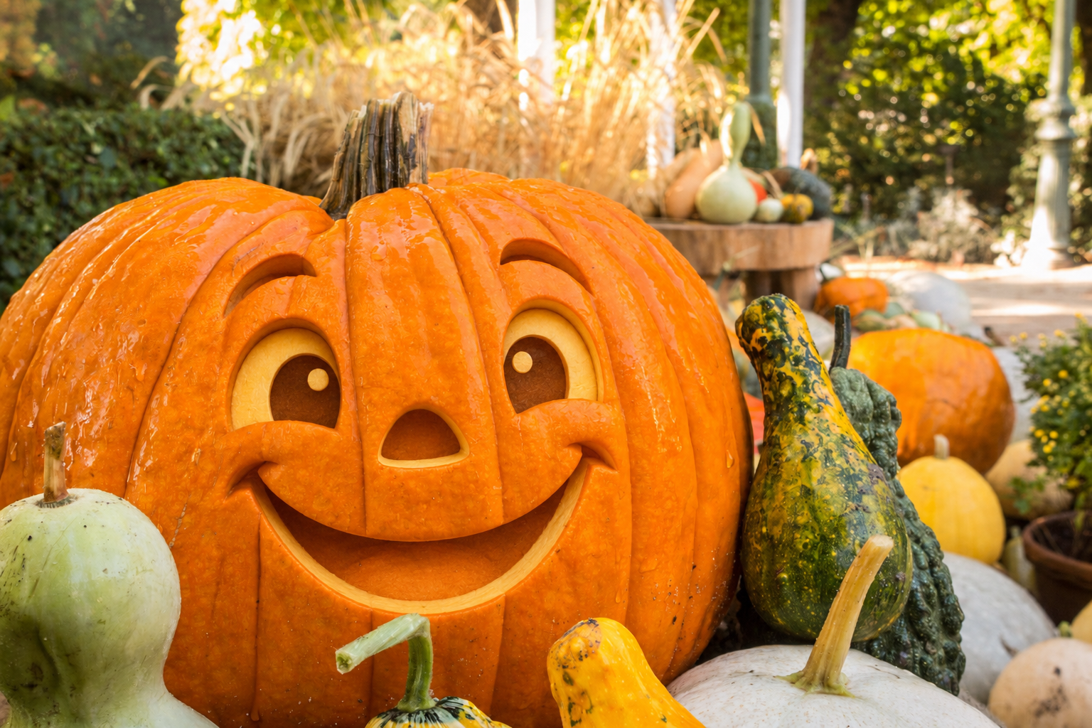 ¡Esa calabaza me está mirando!